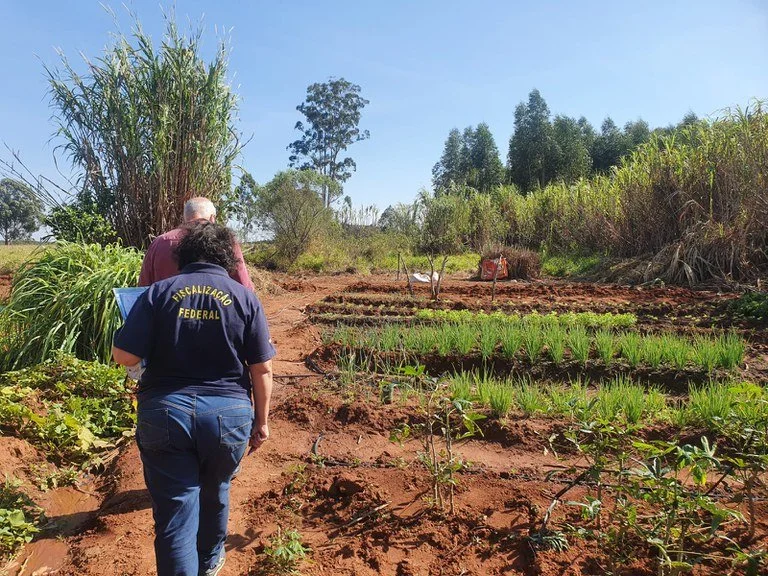 Operação Illusio se expande para o interior de SP e encontra vendas irregulares... 11 operacao illusio se expande para o interior de sp e encontra vendas irregulares