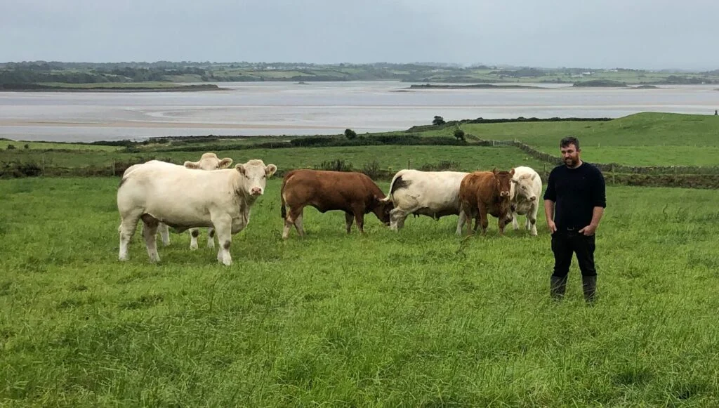 Pedigree de 135 vacas e fazenda comercial de aleitamentos Sligo 48 pedigree de 135 vacas e fazenda comercial de aleitamentos sligo 1