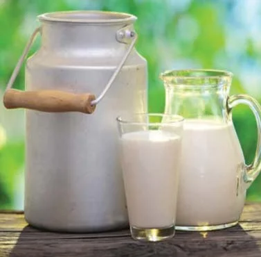 Preços pagos aos produtores catarinenses de leite e trigo são destaques do... 5 leite