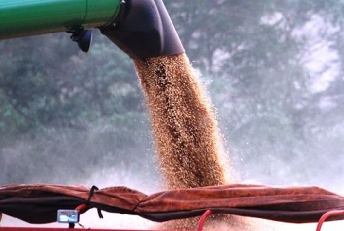 queda de chicago pode interromper vendas de soja no brasil 1