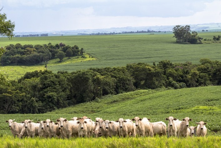 Regulamentação discutida entre MT e União Europeia pode ser apreciada em negociações com Mercosul