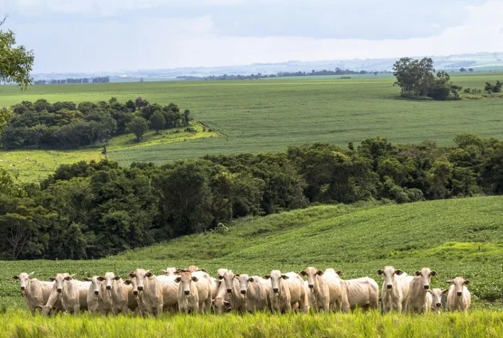 Regulamentação discutida entre MT e União Europeia pode ser apreciada em negociações com Mercosul 31 regulamentacao discutida entre mt e uniao europeia pode ser apreciada em negociacoes com mercosul