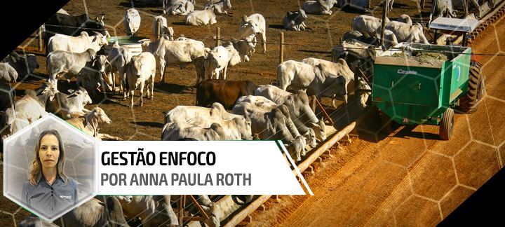 rotina no confinamento o segredo do sucesso 1