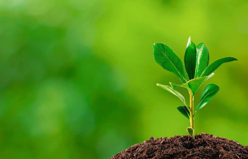 C.Vale intensifica iniciativas com ênfase em energia alternativa