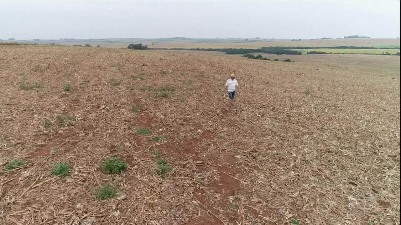 Veja, pecuaristas tem perdas irreversíveis com La Niña