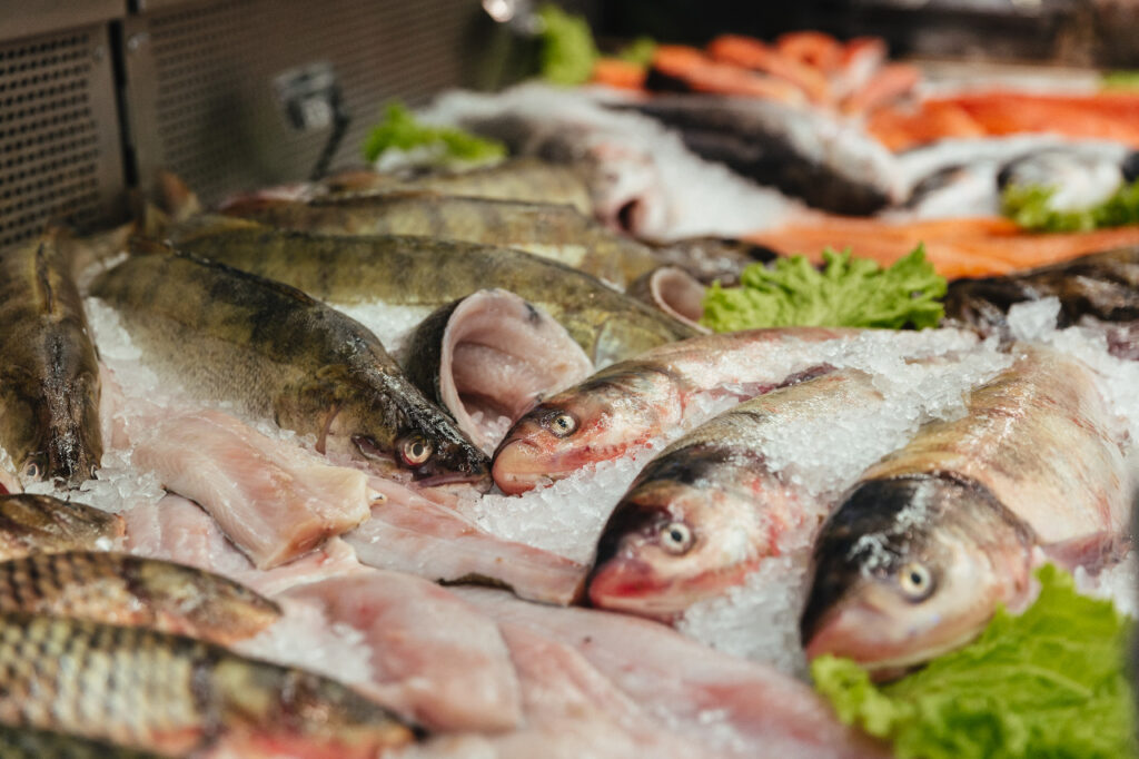 semana do pescado quer criar epoca de consumo no 2o semestre