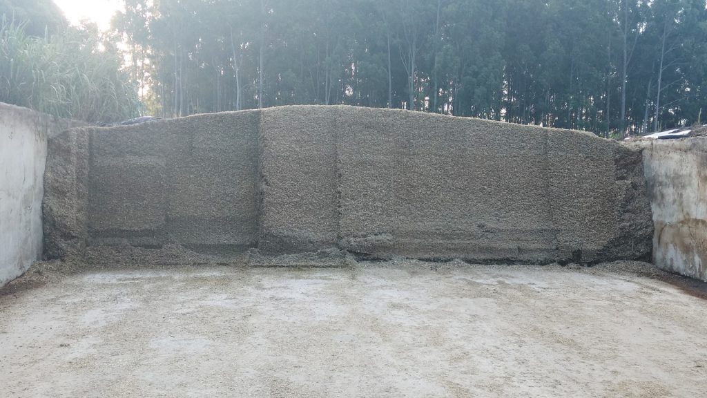 silagem voce sabe amostrar 1