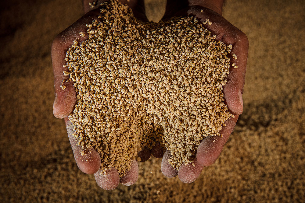 Sindirações divulga prévia do setor de Ração Animal com crescimento…