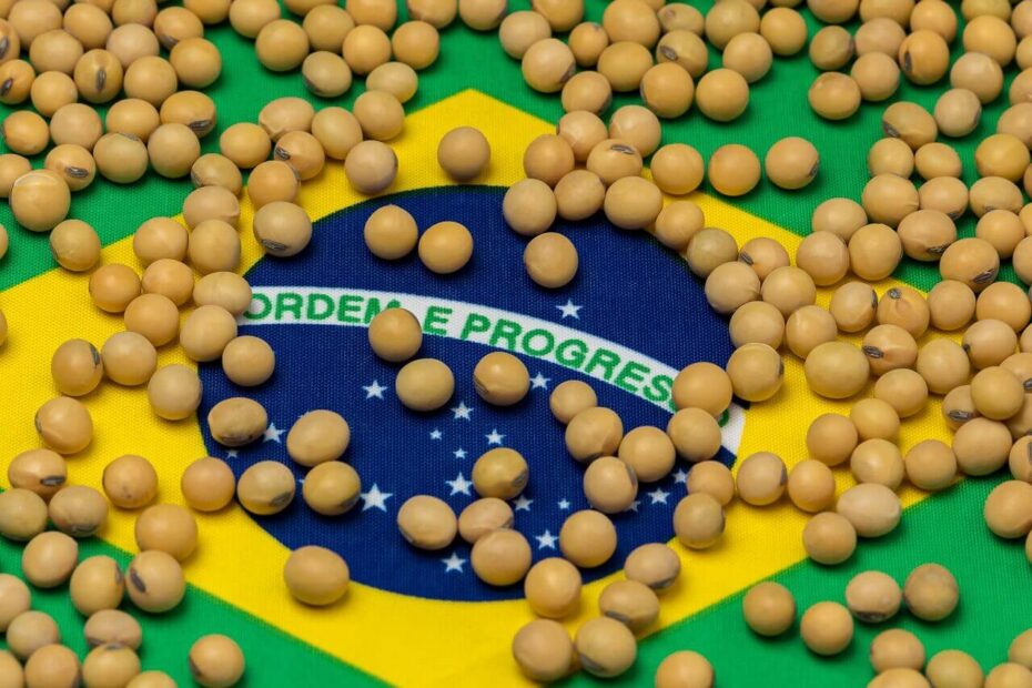 A Soja Do Brasil Será decisivo para a China