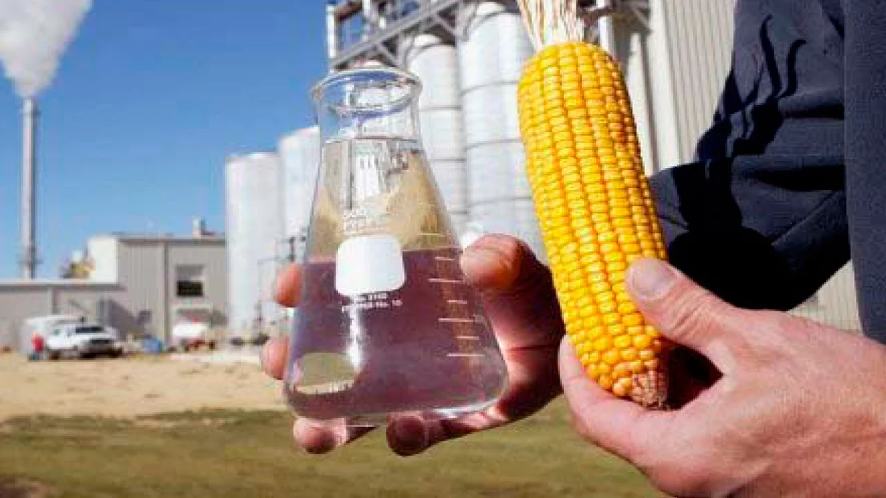 TECO Latin America 2022 discutiu tendências, tecnologias e... 3 teco latin america 2022 discutiu tendencias tecnologias e 1