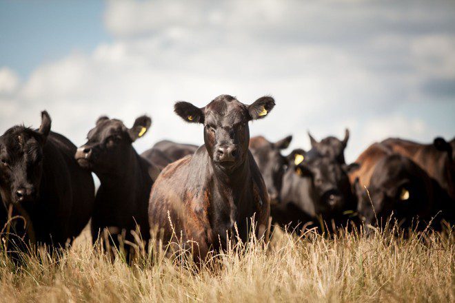 um mundo de possibilidades lucrativas 5