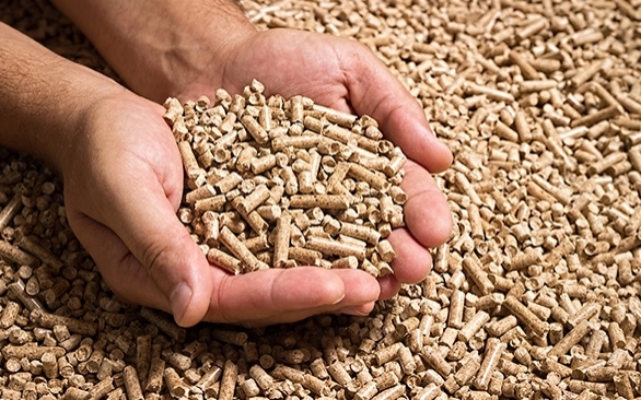 Você conhece o Próton?  a revolucionária proteína artificial Compre Rural