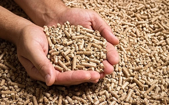 voce conhece o proton a revolucionaria proteina artificial compre rural 1