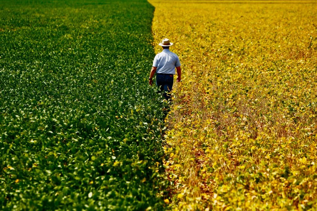 7 em cada 10 brasileiros veem o agro como algo positivo, diz pesquisa 10 7 em cada 10 brasileiros veem o agro como algo positivo diz pesquisa