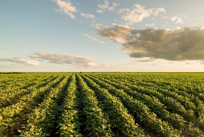 CESB alerta para uso correto de fertilizantes nas lavouras