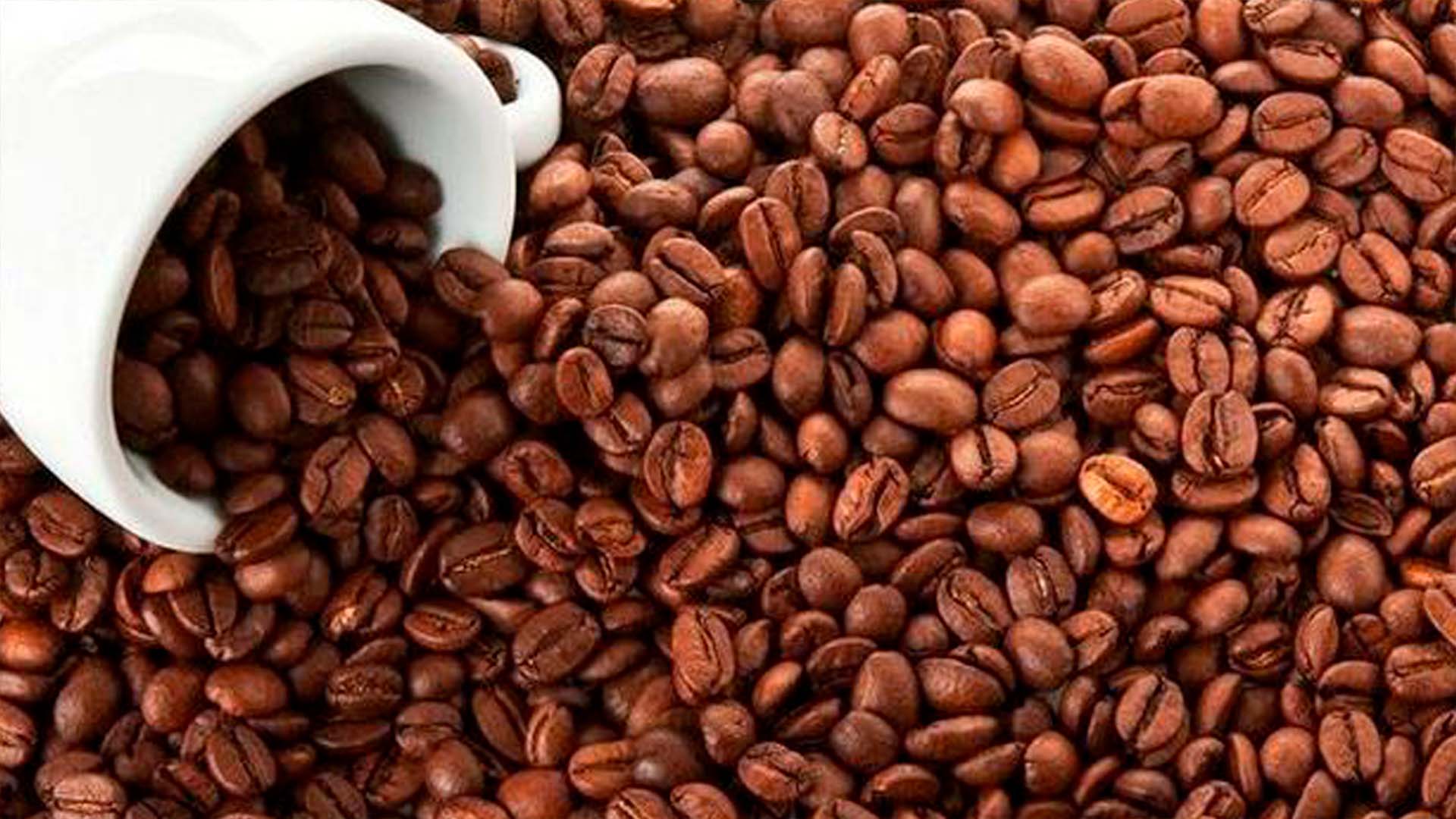 Cafe Brasil tem receita recorde de exportacao mas problemas logisticos