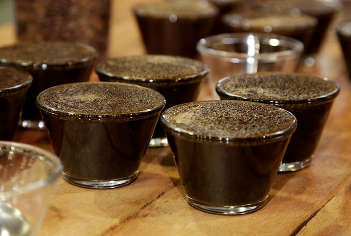 Laboratorio vai certificar a qualidade dos cafes produzidos na regiao