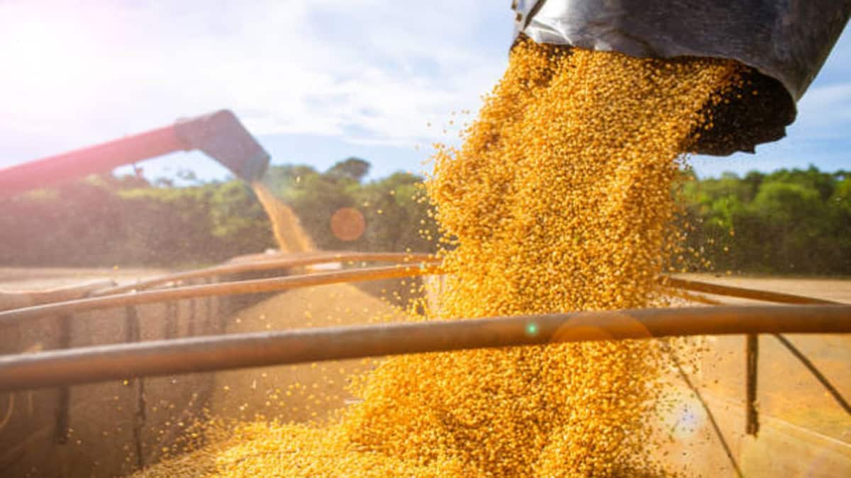 Conab prevê novo recorde na produção de grãos em 312,4 milhões de toneladas