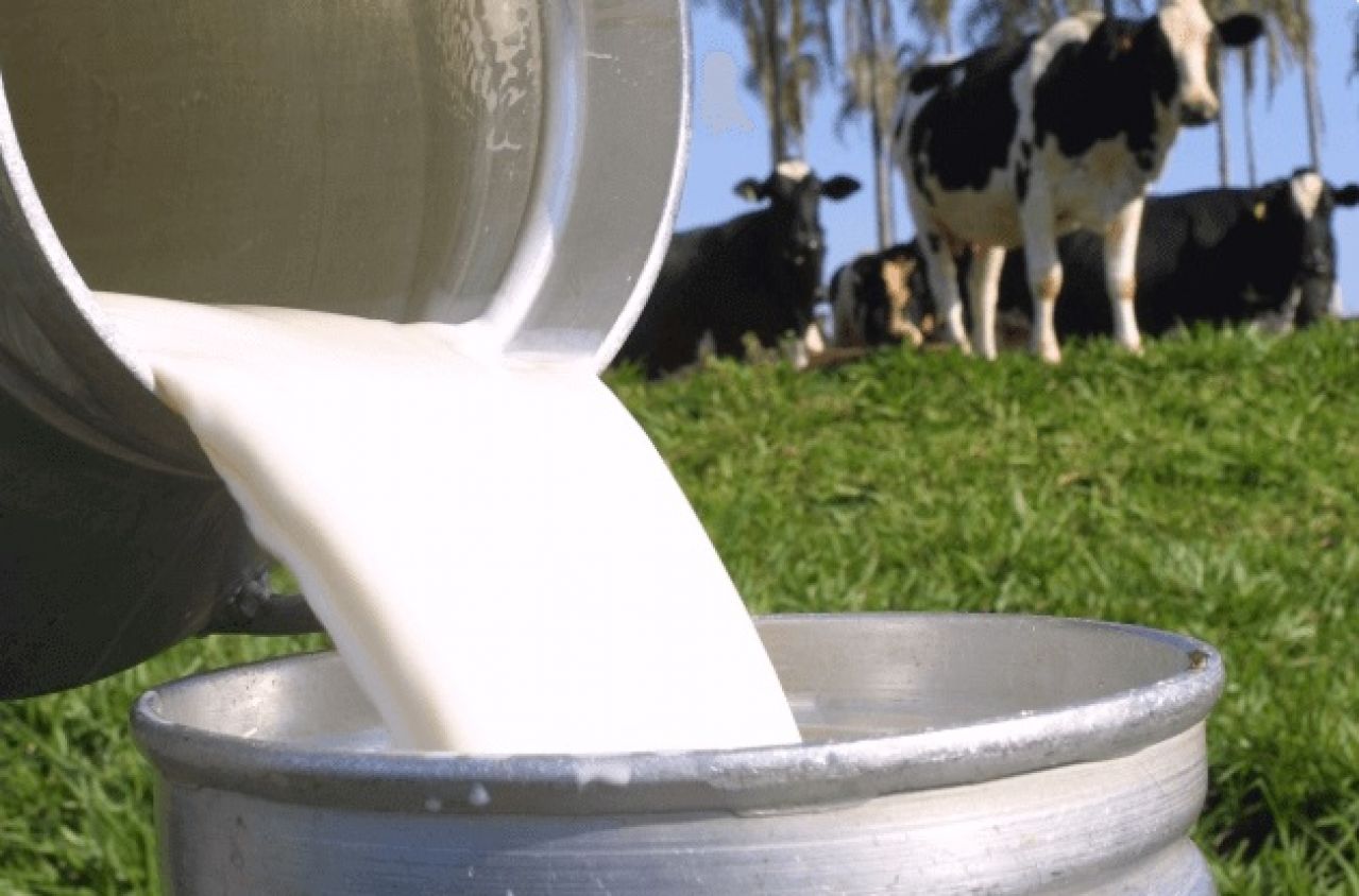Carta Leite - Fatores que influenciam o mercado de leite brasileiro