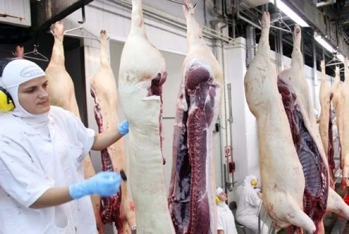 Abate de suínos no 2º trimestre de 2022 é o maior desde 1997, diz IBGE 15 abate de suinos no 2o trimestre de 2022 e o maior desde 1997 diz ibge