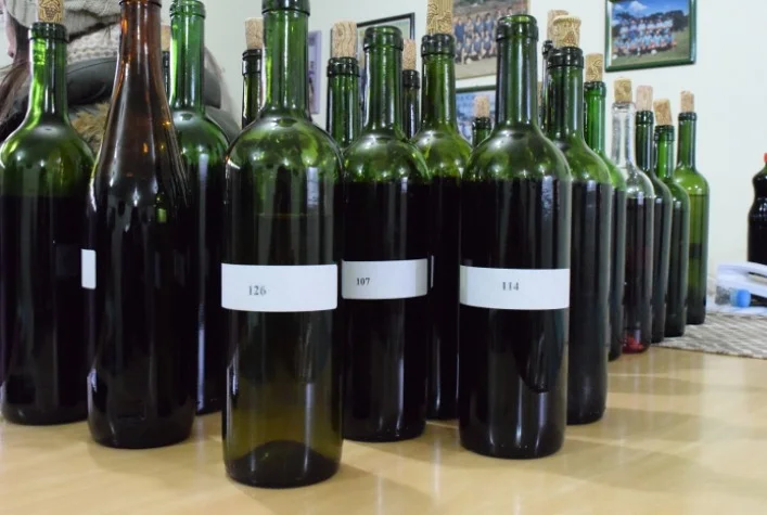 agricultura de precisao ajuda a produzir vinhos diferenciados em sp 1