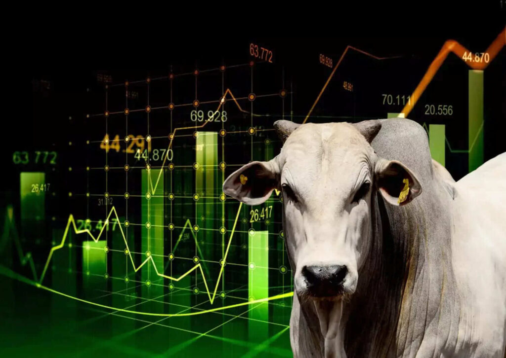 Mercado do boi bate recorde ja no começo de 2023