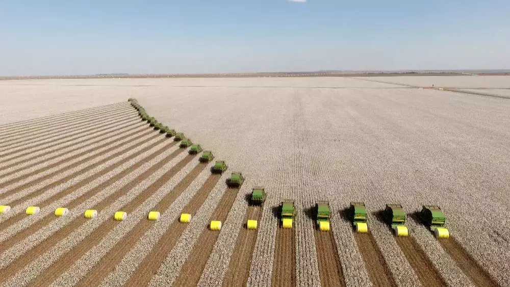 Brasil volta a figurar entre os 5 maiores produtores de algodão do mundo 2 Os-cuidados-com-o-transporte-de-algodão