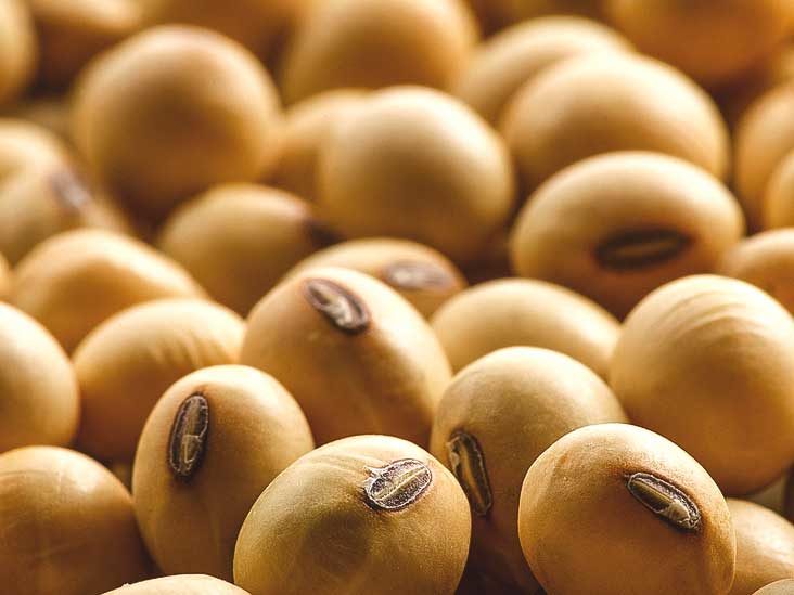 caramuru pega emprestimo verde de us 80 milhoes para investir em