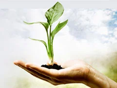 Cargill apoia produtores rurais na restauração de áreas protegidas e... 1 cargill apoia produtores rurais na restauracao de areas protegidas e 1