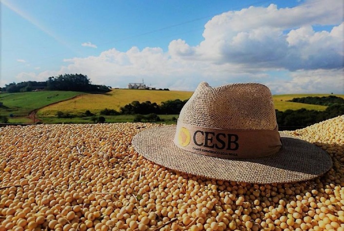 CESB acredita que sojicultores intensificarão eficiência agronômica na safra 22/23
