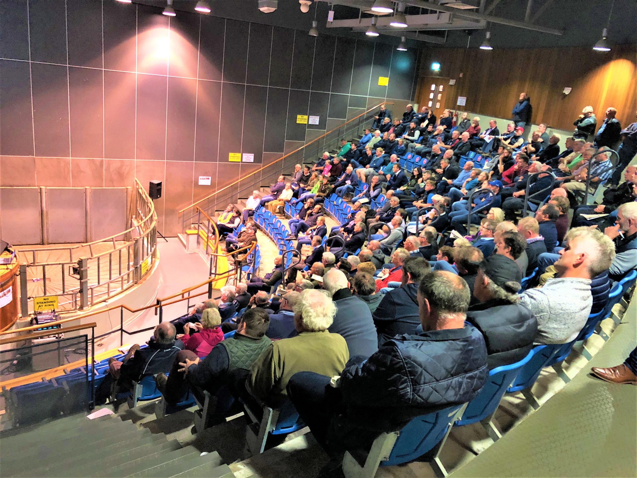 chefe de compras de gado da kepak da perspectiva de comercio de carne bovina