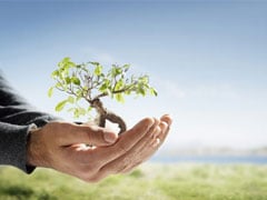 CNA eleva custos de produção em 11 estados