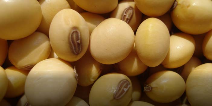 colheita de soja atinge 21 da area no brasil e segue com atraso diz safras 3