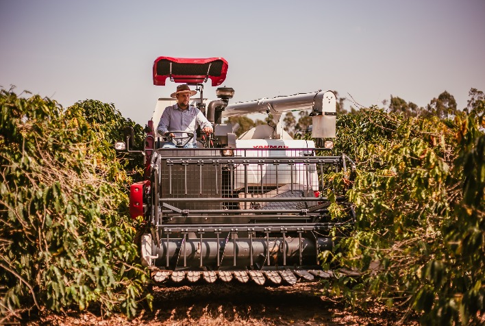 colheitadeira de graos integra o portfolio de equipamentos yanmar 1