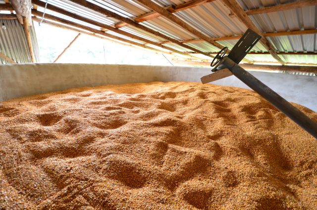 Conab mantém previsão recorde para safra 21/22