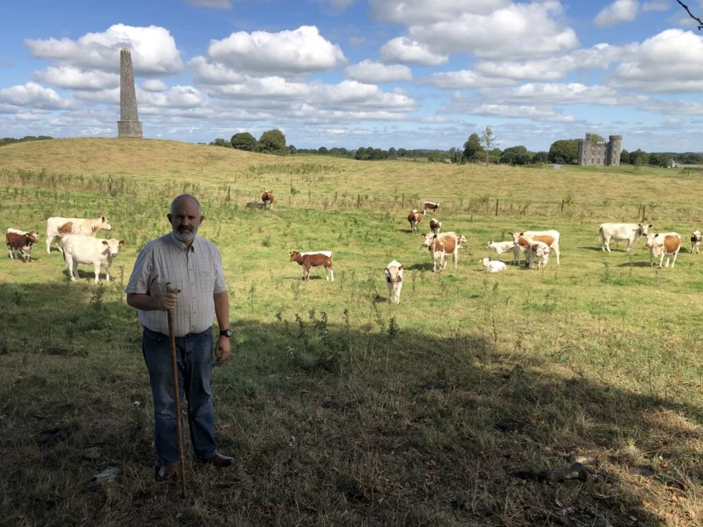 Criação, criação e processamento de raças raras no Castelo de Killua 2 criacao criacao e processamento de racas raras no castelo de killua