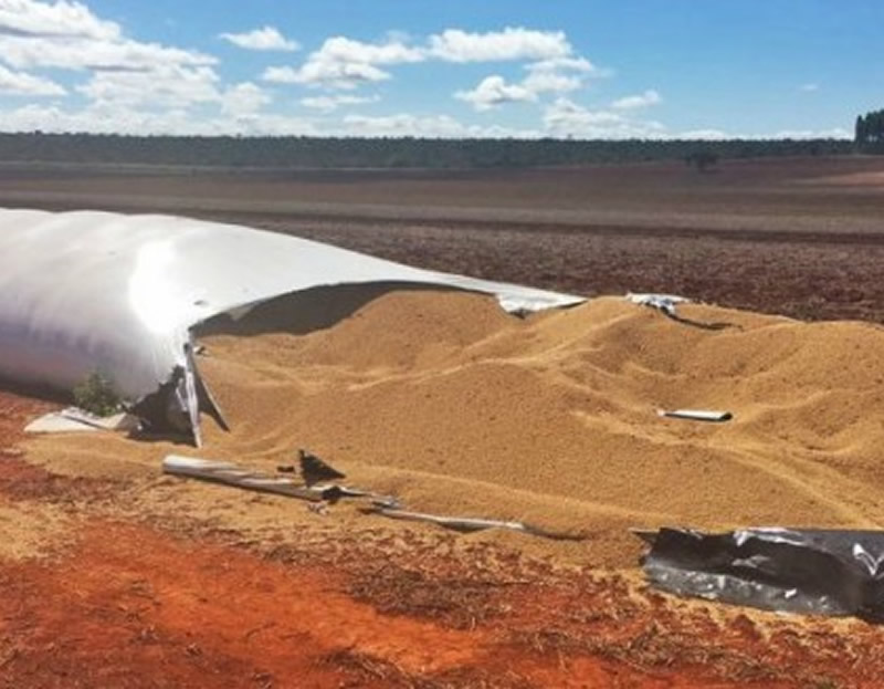 deficit de armazenamento de 100 milhoes t safra descubra a alternativa