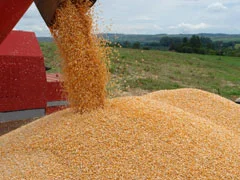 Em agosto, IBGE projeta safra de 261,7 milhões de toneladas para 2022 18 em agosto ibge projeta safra de 2617 milhoes de toneladas para 2022