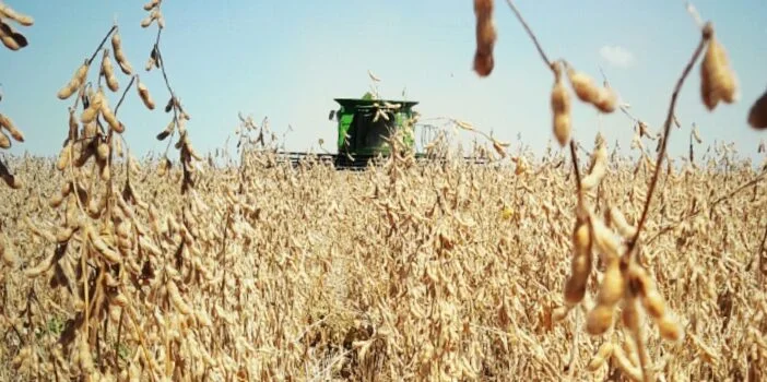 Entenda como o Brasil se tornou o maior produtor e exportador de soja do mundo 2 entenda como o brasil se tornou o maior produtor e exportador de soja do mundo