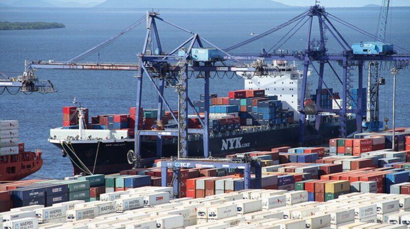 Exportação de carne de frango é recorde para o acumulado do ano 3 exportacao de carne de frango e recorde para o acumulado do ano 4