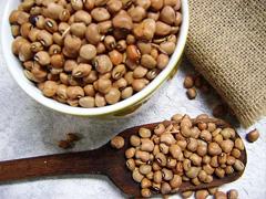 Feijão bóer consorciado em pastagem reduz as emissões de metano em até 70%