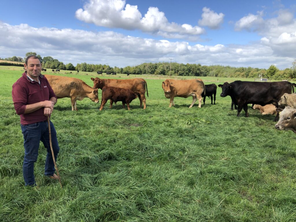foco em carne bovina unidade de aleitamento e carne bovina do gurteen college