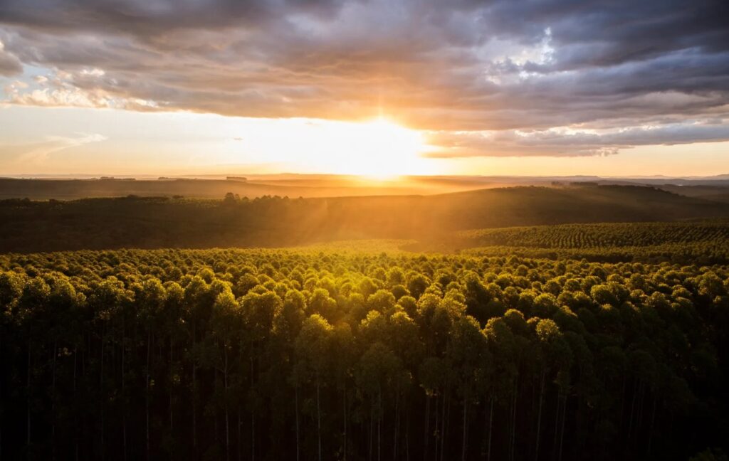 agro-harbunk-klabin-9jun22-divulgacao