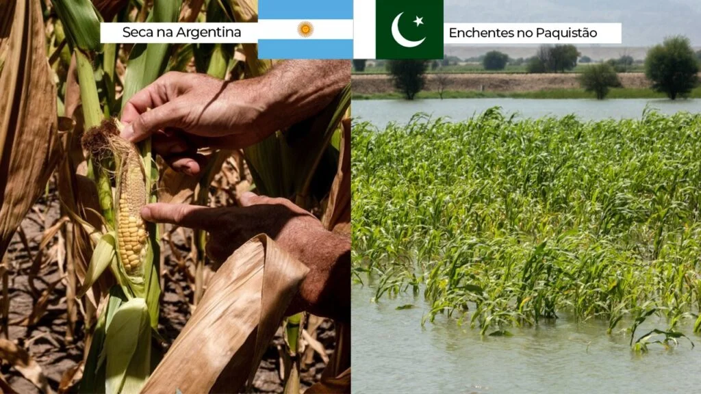 Mundo sofre com oferta restrita de alimentos, fibras e energia ao caminhar…