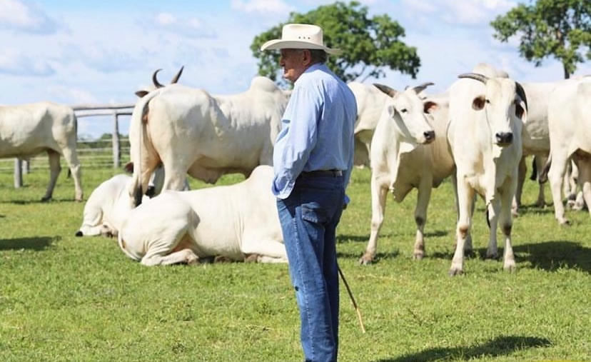 Nelore ADIR promove leilão com média de quase R$ 100 mil 21 CompreRural.com