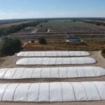 o armazenamento adequado da silagem garante qualidade para o gado leiteiro na estacao seca