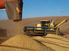 Produção de grãos bate recorde na safra 2021/22 e chega a 271,2 milhões... 1 producao de graos bate recorde na safra 2021 22 e chega a 2712 milhoes