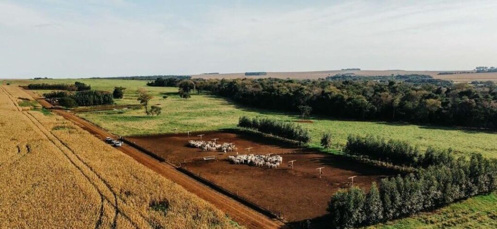 Produtor vai alugar? Não assine antes de ler! 2 produtor vai alugar nao assine antes de ler