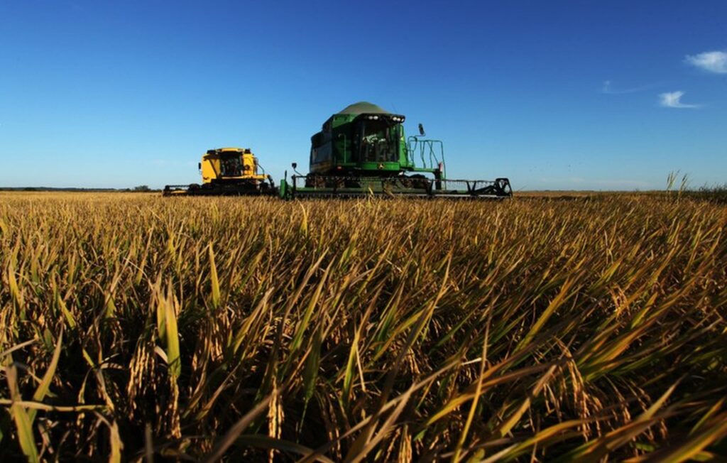 Rei do Agro atinge 672,4 mil hectares e fatura R$ 1,1 bilhão