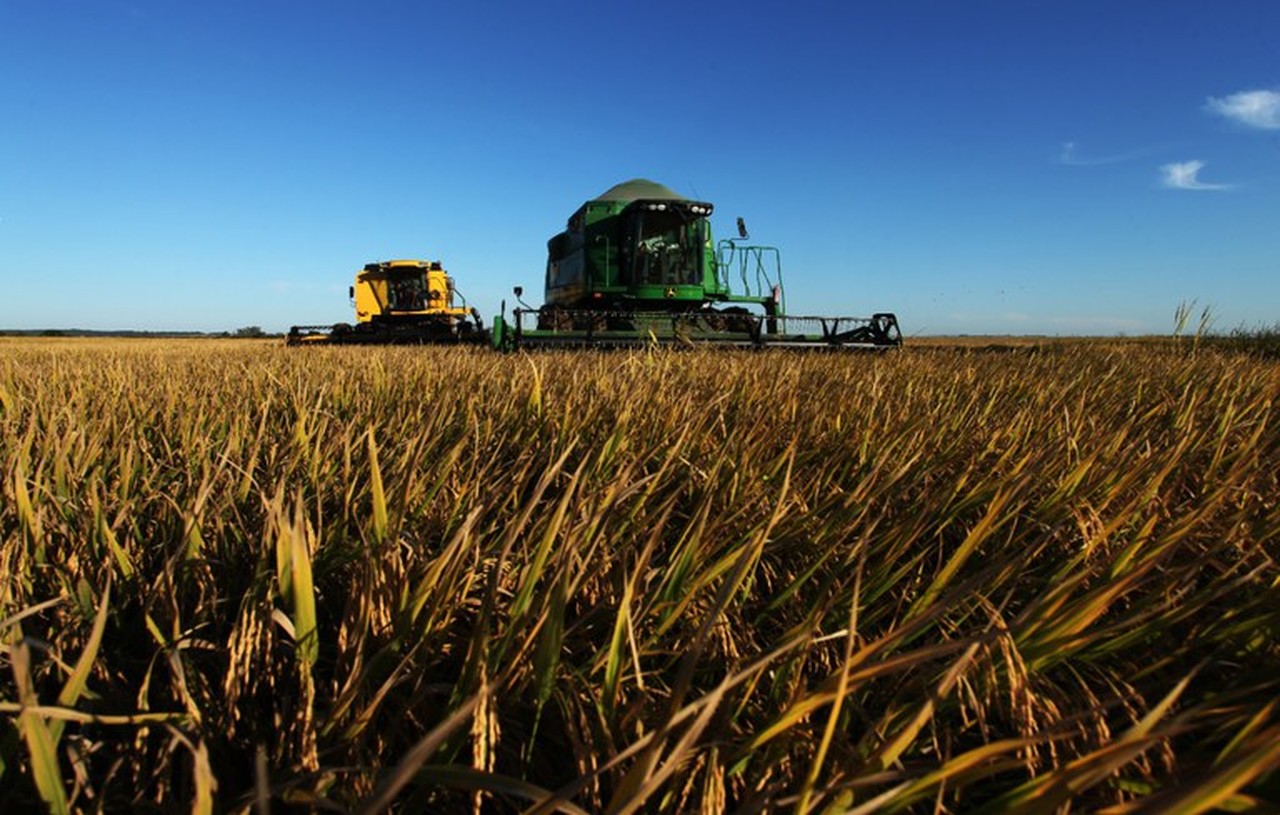Projetos agropecuários no Paraná são premiados pelo Mapa por inovação